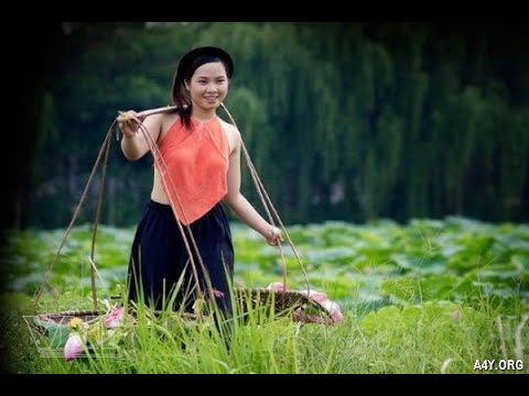 Xu hướng Mua váy hoa mà không biết 4: Hotspot Matrix tiết lộ bí quyết video viral_Đào tạo kỹ năng lãnh đạo