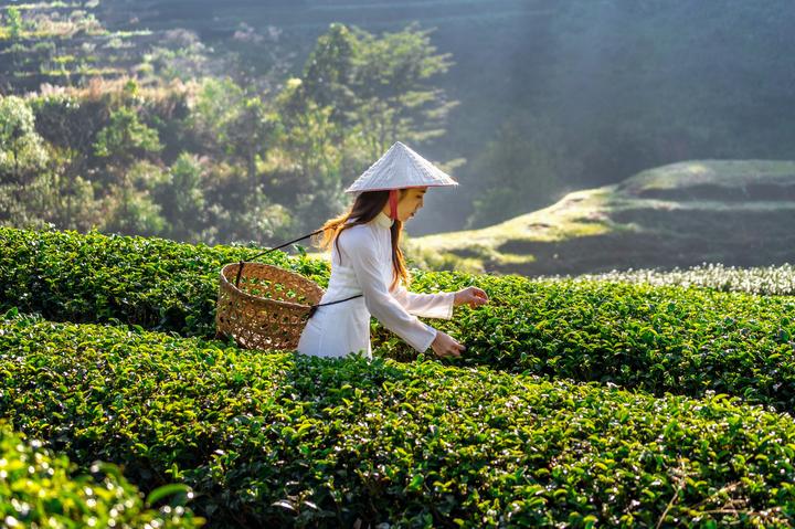 Xu hướng Chiếc quần 