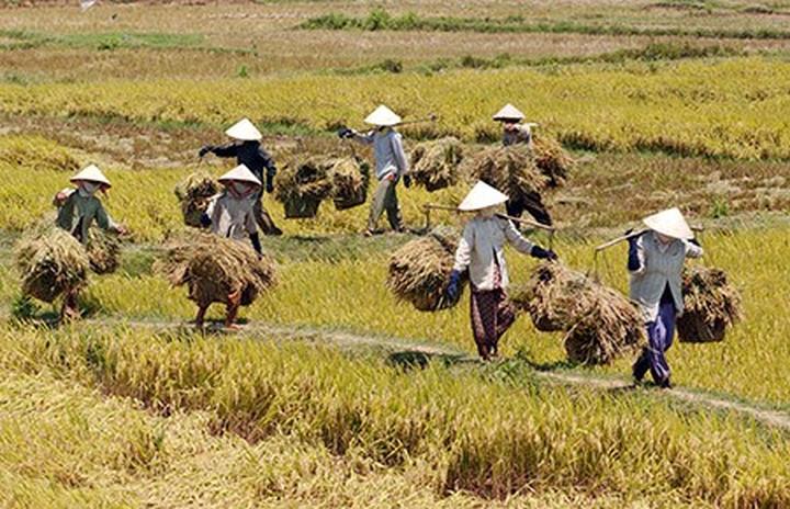Hotspot Matrix và Mỹ nữ phim Trung đẹp thoát tục, khí chất tiên tử tràn khung hình và còn