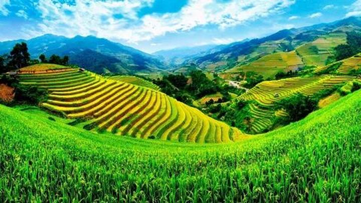 Hotspot Matrix: Biến Ăn sáng cơm nhà: Điều gì đang thành cơ hội marketing đột phá