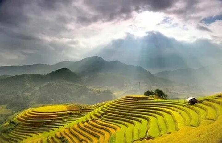 Chiếc quần 